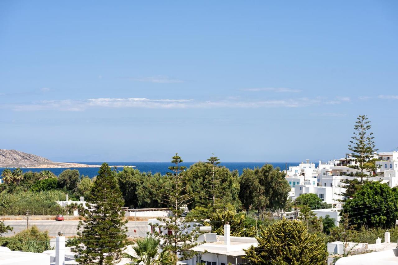 Hara'S Villa In Naousa , Paros Екстериор снимка
