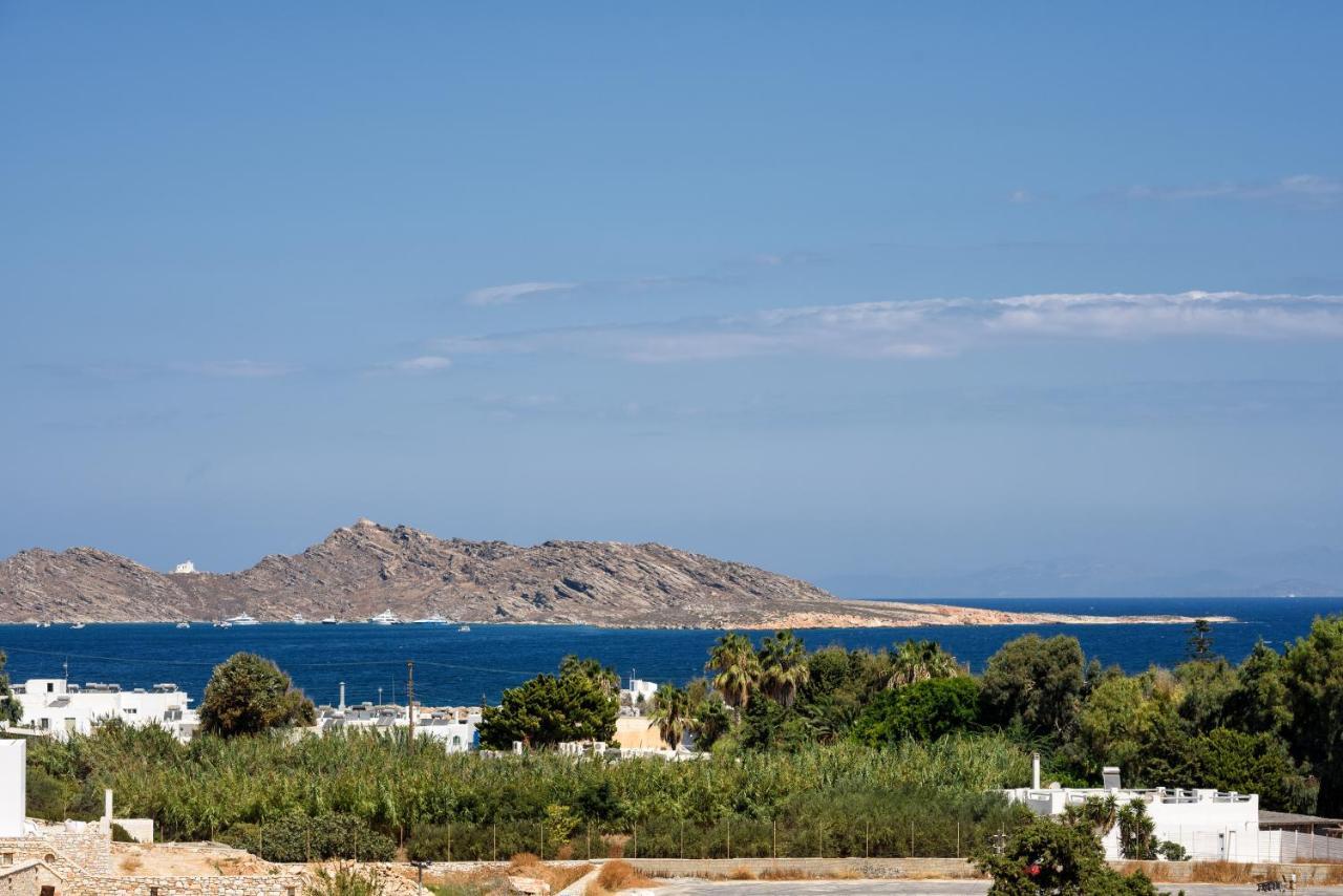 Hara'S Villa In Naousa , Paros Екстериор снимка